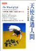 天使走過人間：生與死的回憶錄